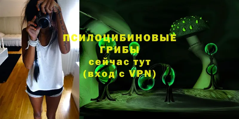 где продают   kraken как войти  Псилоцибиновые грибы Magic Shrooms  Дигора 